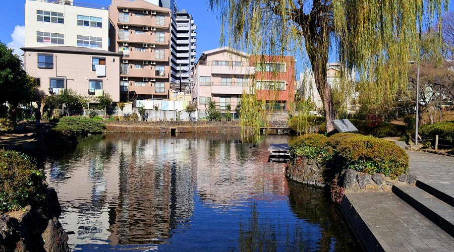 🏞️ 코모이케 공원 (菰池公園) 이미지 1